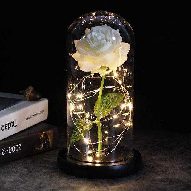 LoveEternal™ - Rose éternelle en dôme avec Leds - 1000-Cadeaux