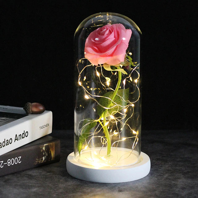 LoveEternal™ - Rose éternelle en dôme avec Leds - 1000-Cadeaux