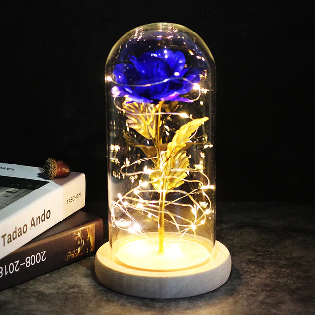 LoveEternal™ - Rose éternelle en dôme avec Leds - 1000-Cadeaux